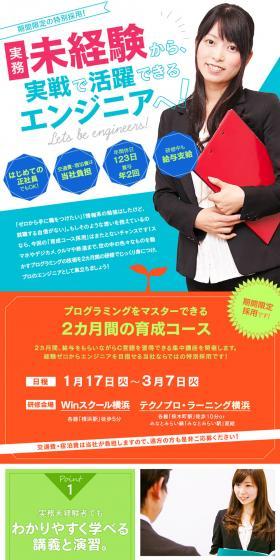 TechnoPro Corporation Job Openings LP design (recruitment / Shades of blue / Simple) PC version