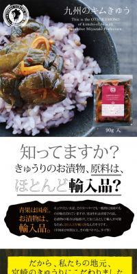Kyushu Kimchi LP design (food / Brown tones / Health and Wellness) PC version