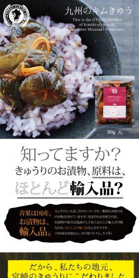 Kyushu Kimchi LP design (food / Brown tones / Health and Wellness) PC version