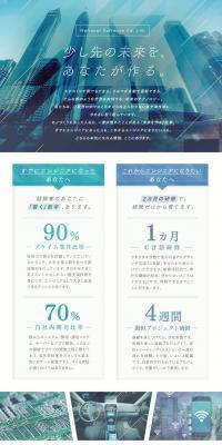 National Software Inc. Job Openings LP design (recruitment / Shades of blue / Simple) PC version