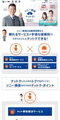 Satisfied with Sony Assurance! LP design (Services, Insurance, and Finance / Shades of blue / Simple) PC version