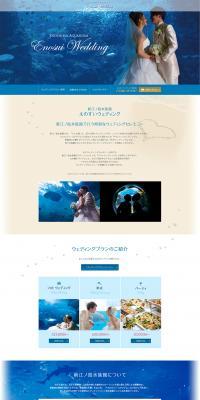 Enosui Wedding LP design (Services, Insurance, and Finance / Shades of blue / Refined style) PC version