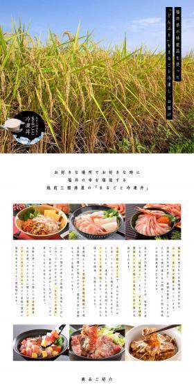 Whole Frozen Rice Bowl LP design (food / White-based / Natural style) PC version