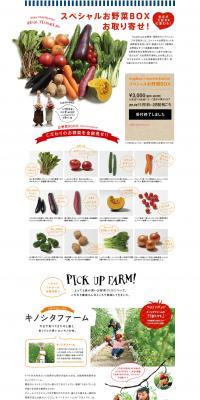 Transform your dislikes into loves! Order your Special Vegetable Box! LP design (food / White-based / Simple) PC version