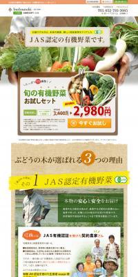 Seasonal Organic Vegetable Sampler Set LP design (food / Green tones / Natural style) PC version