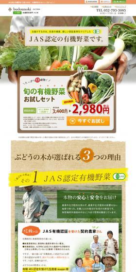Seasonal Organic Vegetable Sampler Set LP design (food / Green tones / Natural style) PC version