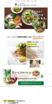 Special Trial Set LP design (food / Green tones / Simple) PC version