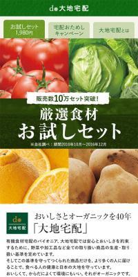 大地宅配のお試しセットのLPデザイン（食品／カラフル系／信頼・安心系）スマホ版