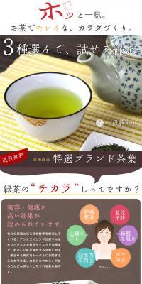 Green Tea Sampler Set: Choose 3 Varieties LP design (Beverages and Alcohol / Brown tones / Simple) PC version