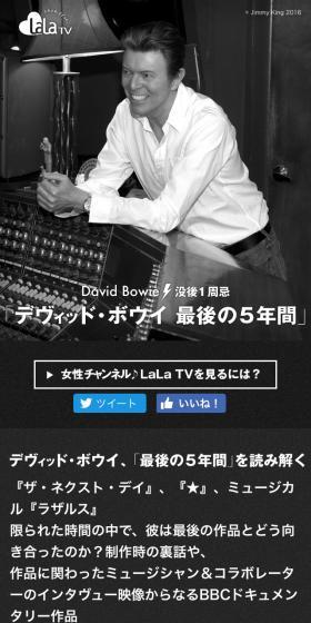 デヴィッド・ボウイ最後の5年間のLPデザイン（TV・映画・アニメ／グレー系／シンプル系）スマホ版