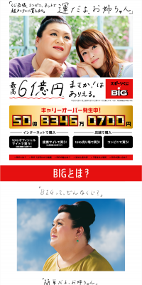 スポーツくじBIGのLPデザイン（サービス・保険・金融／レッド系／シンプル系）PC版
