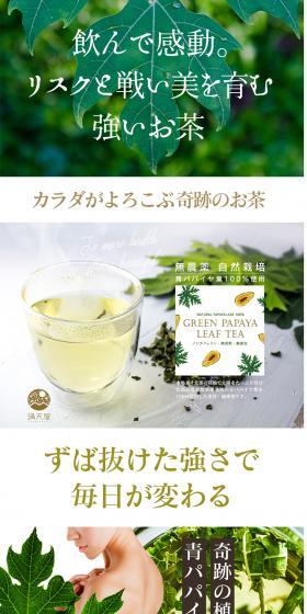 グリーン パパイヤ リーフティーのLPデザイン（飲料・お酒／グリーン系／キレイ系）PC版