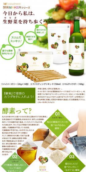 Enzyme MAKER Series LP design (Health and Beauty Foods and Supplements / Green tones / Health and Wellness) PC version