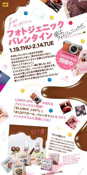 Photogenic Valentine LP design (Internet service / White-based / Cute style) PC version