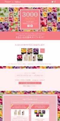 Terracuore 3000 Roses: Get It for Mother's Day! The 3000-Rose Campaign. LP design (Internet service / Pink shades / Simple) PC version