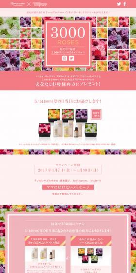 Terracuore 3000 Roses: Get It for Mother's Day! The 3000-Rose Campaign. LP design (Internet service / Pink shades / Simple) PC version