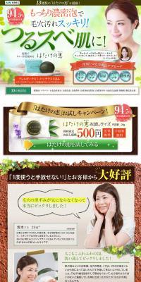 Bounty of the Field LP design (Beauty, Skincare, Fragrance / Green tones / Refined style) PC version