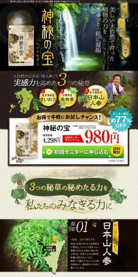 Mystic Treasure LP design (Health and Beauty Foods and Supplements / Black-colored / Strong) PC version