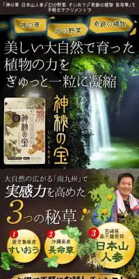 神秘の宝のLPデザイン（健康・美容食品・サプリ／ブラック系／力強い系）スマホ版