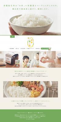 fortified rice LP design (food / Green tones / Simple) PC version