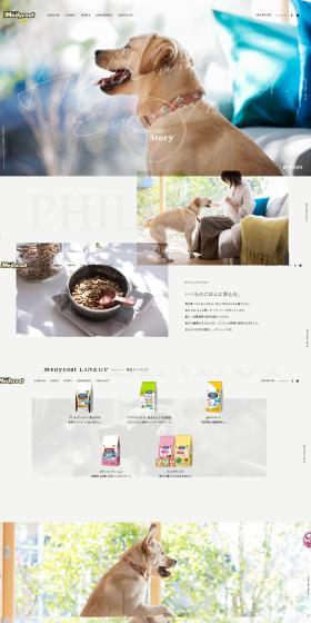 Medycoat LP design (Pet food and pet supplies / Beige tones / Simple) PC version
