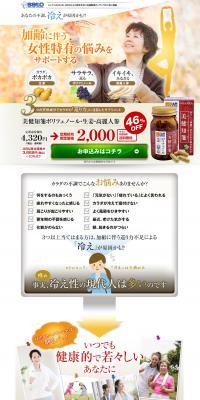 Beauty and Health Land Paper LP design (Health and Beauty Foods and Supplements / Orange tones / Trust and Safety) PC version