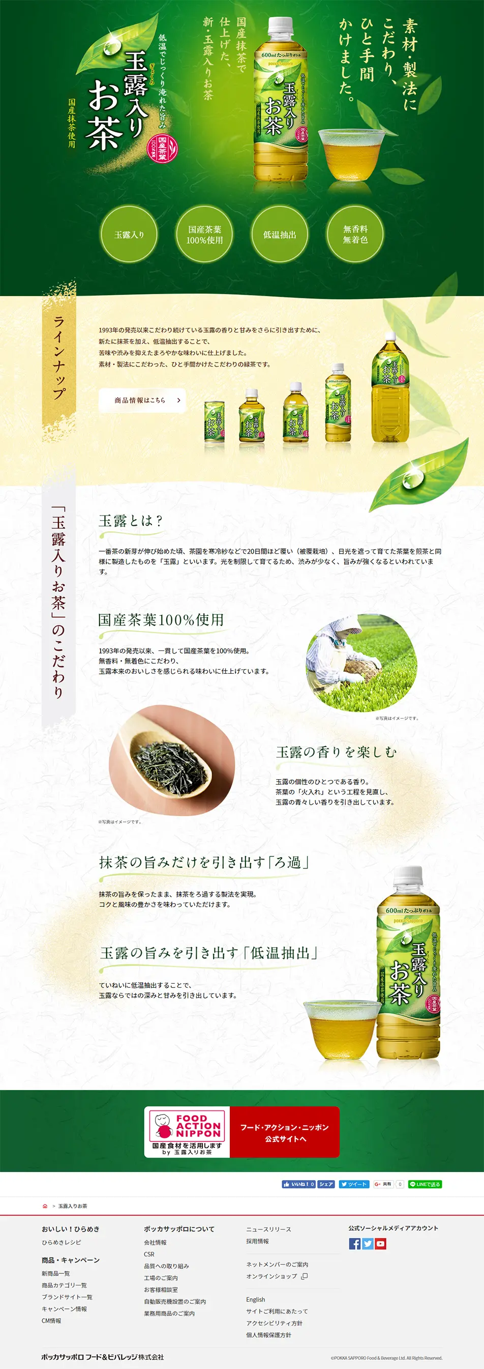 玉露入りお茶のLPデザイン（飲料・お酒／グリーン系／和風系）PC版