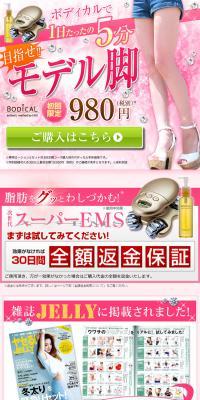 Bodical LP design (Beauty and Health Equipment / Pink shades / Strong) PC version