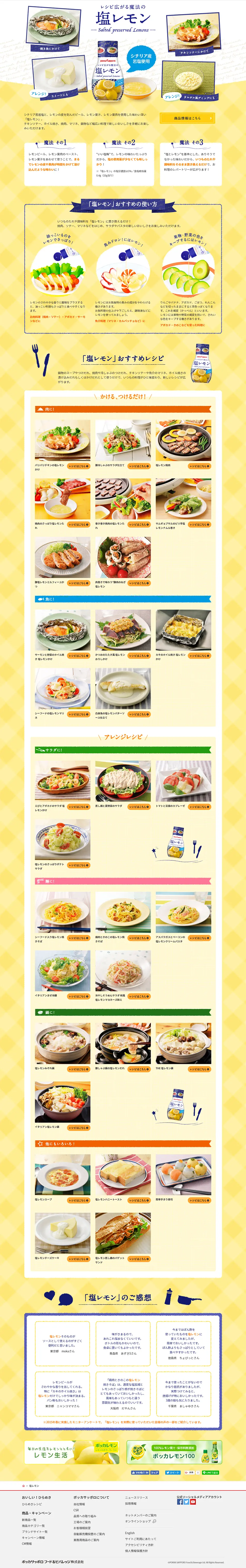 塩レモンのLPデザイン（食品／イエロー系／健康・癒し系）PC版