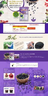 Blueberry & Mallotus japonicus Extract LP design (Health and Beauty Foods and Supplements / Purples / Trust and Safety) PC version