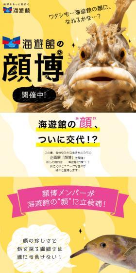 海遊館の顔博のLPデザイン（旅行・アウトドア／イエロー系／かわいい系）スマホ版
