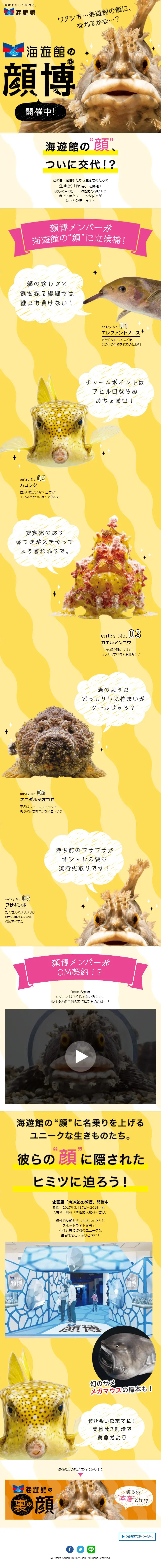 海遊館の顔博のLPデザイン（旅行・アウトドア／イエロー系／かわいい系）スマホ版
