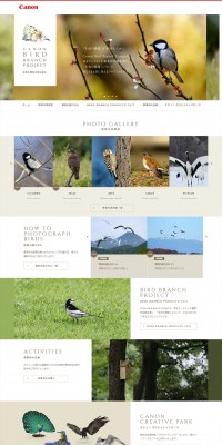 CANON BIRD BRANCH PROJECT LP design (Internet service / White-based / Simple) PC version