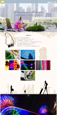 Nikon SPECIAL CONTENTS LP design (Cameras and Digital Cameras / Beige tones / Arts) PC version