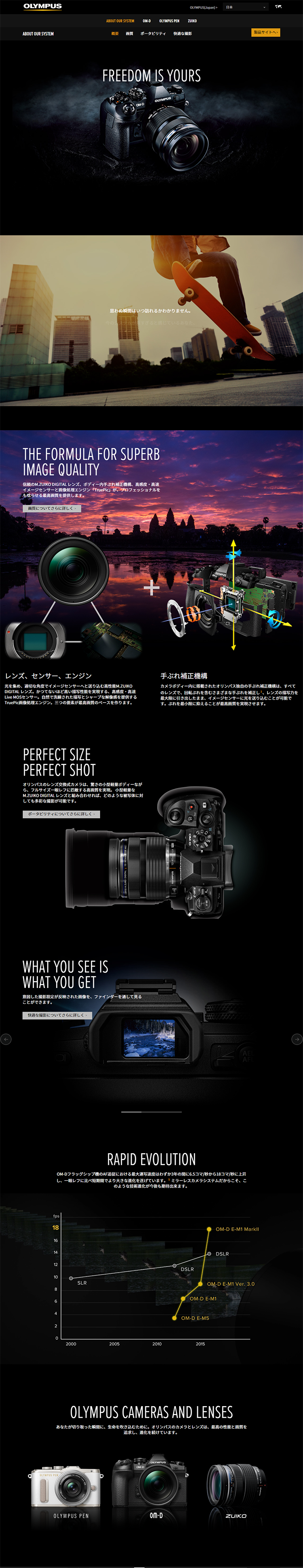 Information on Our System LP design (pc / Black-colored / Cool style) PC version
