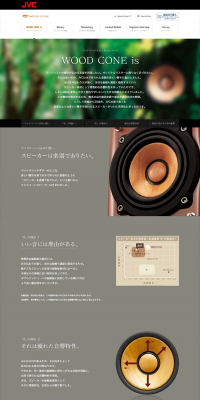WOOD CONE LP design (TV, Audio, Musical Instruments / Shades of grey / Simple) PC version