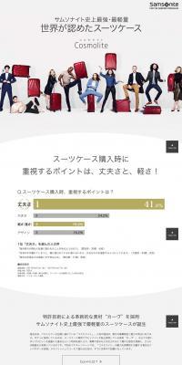 Cosmolite LP design (Bags, Accessories, Brands / Shades of grey / Simple) PC version