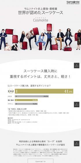 Cosmolite LP design (Bags, Accessories, Brands / Shades of grey / Simple) PC version