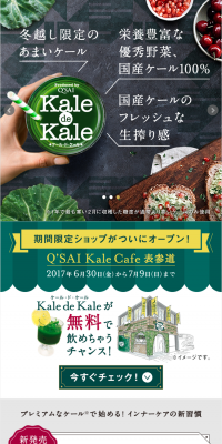 Kale de Kale LP design (Health and Beauty Foods and Supplements / Green tones / Lively type) PC version