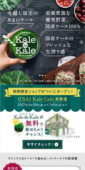 Kale de Kale LP design (Health and Beauty Foods and Supplements / Green tones / Lively type) PC version