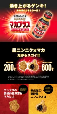 ニンニクの力のLPデザイン（飲料・お酒／ブラック系／にぎやか系）PC版