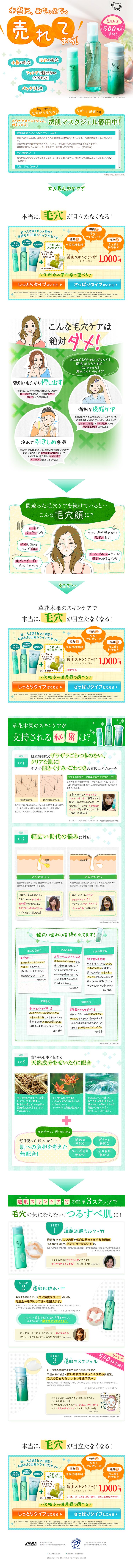 Translucent Skin Skincare - Bamboo LP design (Beauty, Skincare, Fragrance / Green tones / Cute style) PC version