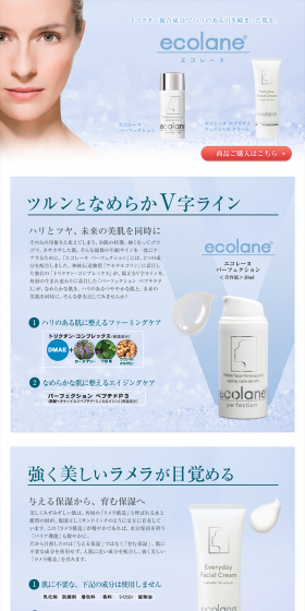 Ecolane LP design (Beauty, Skincare, Fragrance / Shades of blue / Trust and Safety) PC version