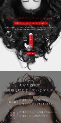 Ferry Cleansing Shampoo LP design (Skincare, Bodycare, Haircare / Black-colored / Refined style) PC version