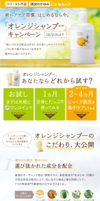 Orange Shampoo Campaign LP design (Internet service / Orange tones / Trust and Safety) PC version