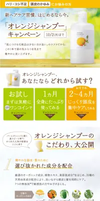 オレンジシャンプーキャンペーンのLPデザイン(インターネットサービス/オレンジ系/信頼・安心系)PC版