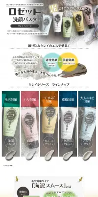 ロゼット洗顔パスタ　クレイシリーズのLPデザイン（美容・スキンケア・香水／ベージュ系／信頼・安心系）PC版
