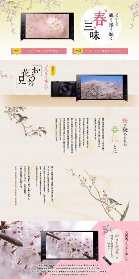 Spring Delights LP design (Cameras and Digital Cameras / Pink shades / Japanese style) PC version