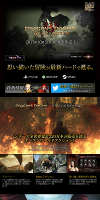 Dragon's Dogma:DARK ARISEN LP design (Books, Music, Games / Black-colored / Cool style) PC version