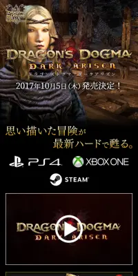 Dragon's Dogma:DARK ARISENのLPデザイン（本・音楽・ゲーム／ブラック系／かっこいい系）スマホ版